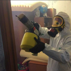 Уничтожение клопов в квартире. Боготол
