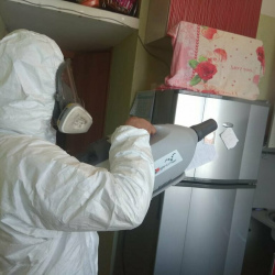 Уничтожение насекомых в квартире. Боготол